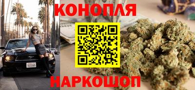 прущие грибы Гусиноозёрск