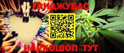 прущие грибы Гусиноозёрск