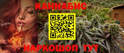 прущие грибы Гусиноозёрск