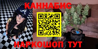 прущие грибы Гусев
