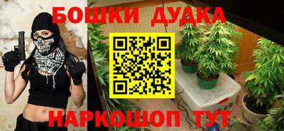 прущие грибы Гусиноозёрск