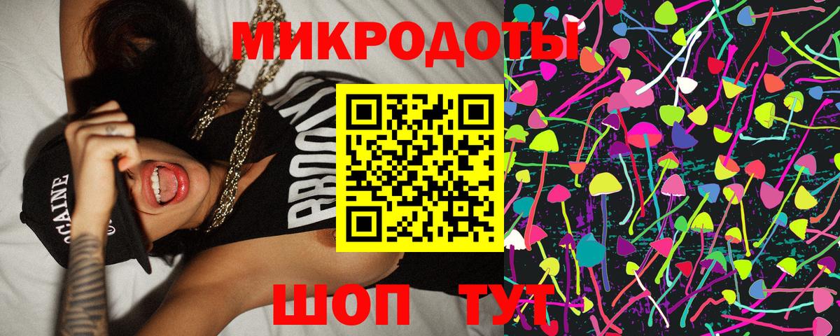 Галлюциногенные грибы Psilocybe Чебаркуль