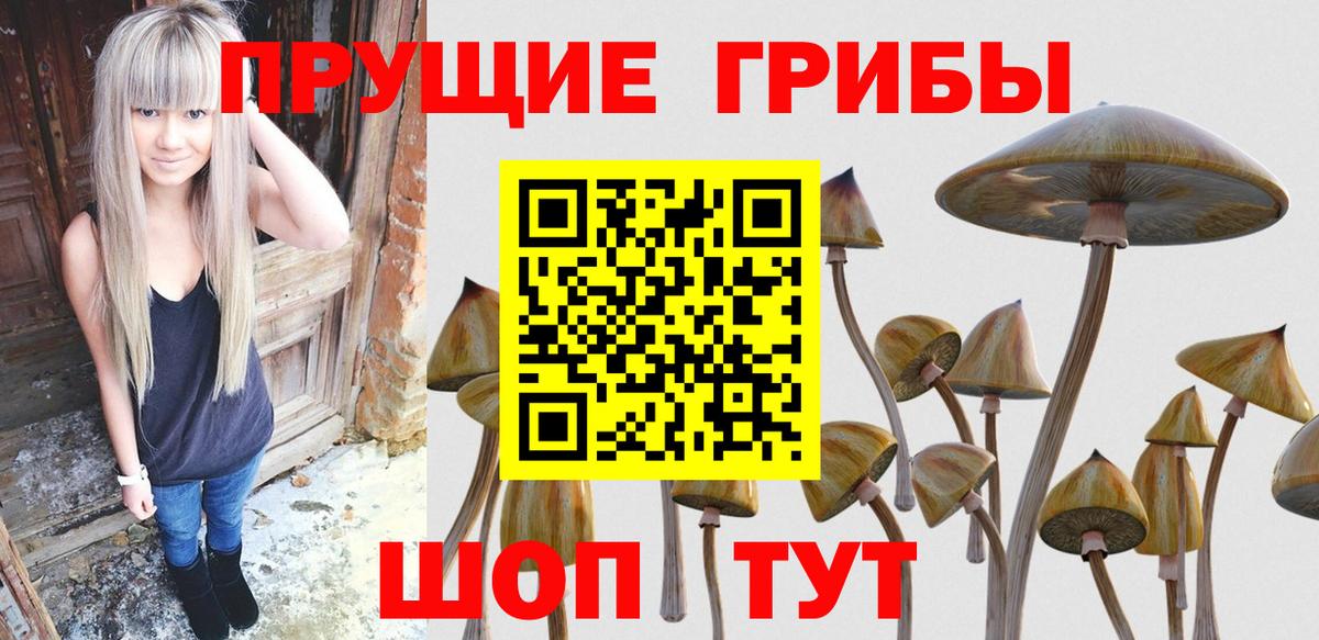 Чебаркуль  Галлюциногенные грибы Psilocybine cubensis  Вход с VPN 